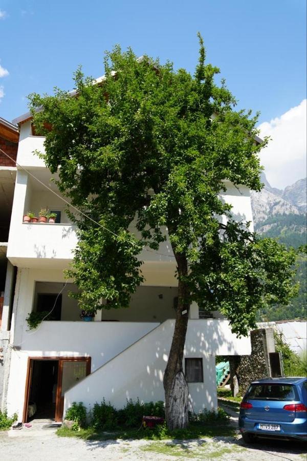 Guesthouse Skender Selimaj فالبني المظهر الخارجي الصورة